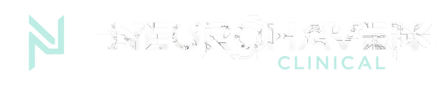 NEUROHAVEN — Explore & Connect