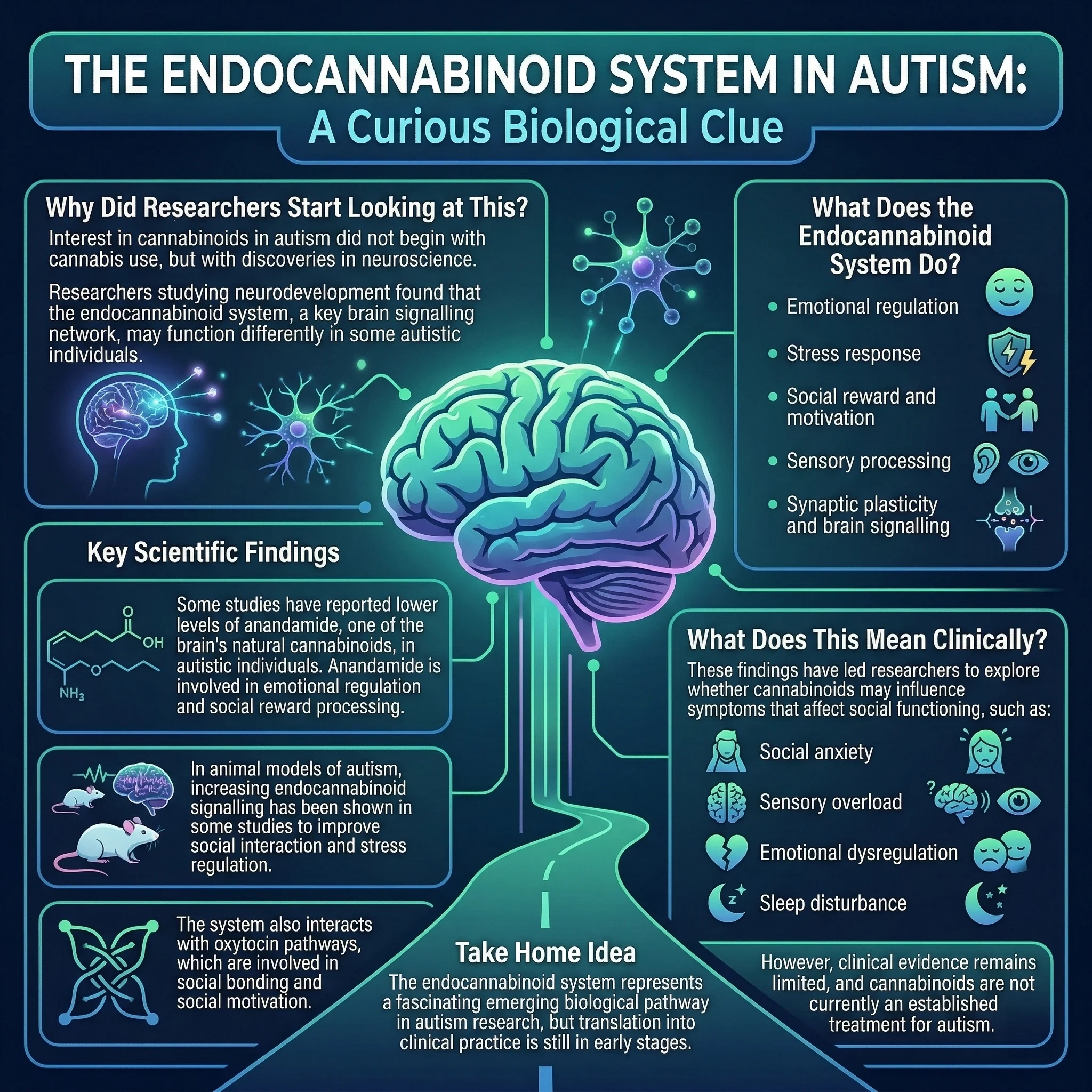 Cannabis Autism 429cdabe